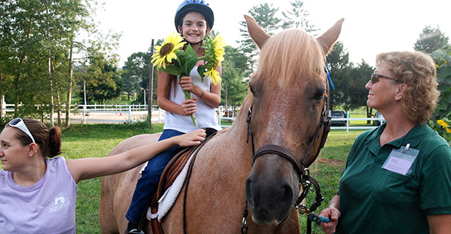 horse therapy photo