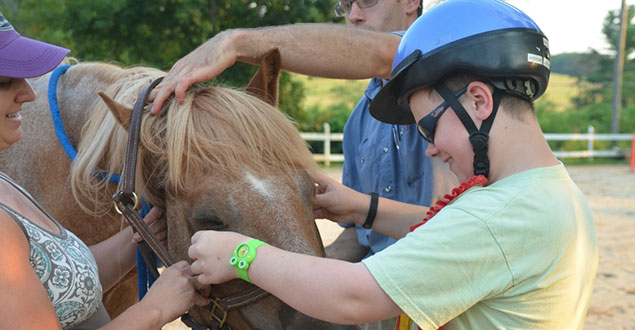 horse therapy photo