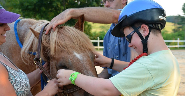 horse therapy photo