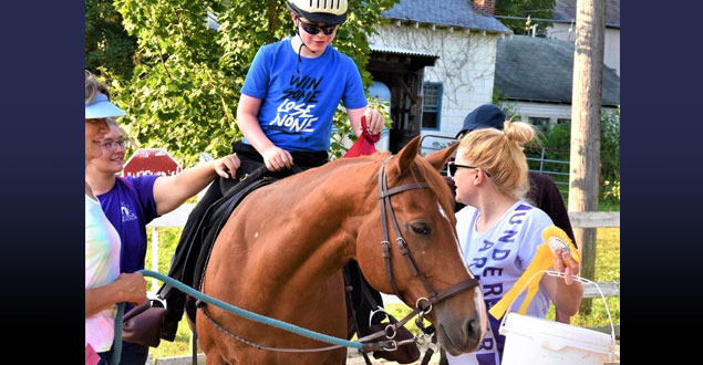 horse therapy photo