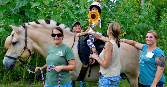 horse therapy photo